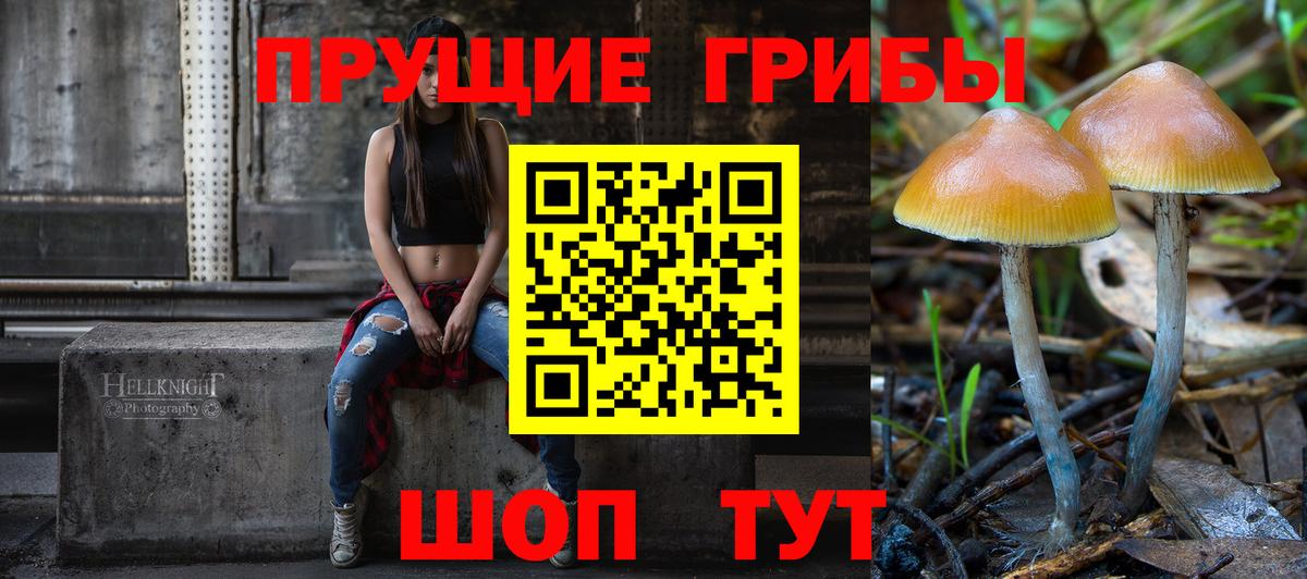 Галлюциногенные грибы MAGIC MUSHROOMS Екатеринбург