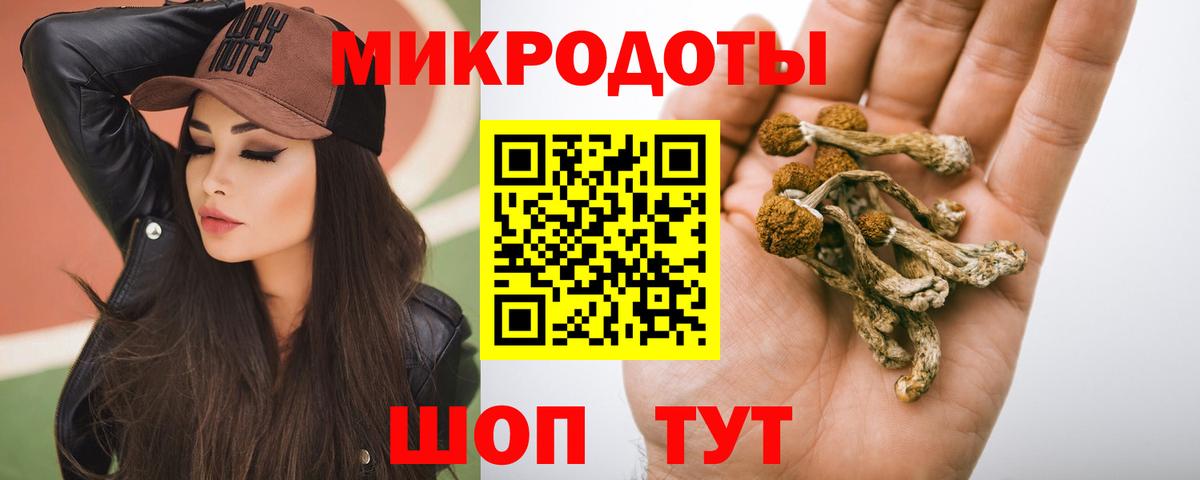 Галлюциногенные грибы Psilocybine cubensis  наркотики  Екатеринбург  Вход с VPN 